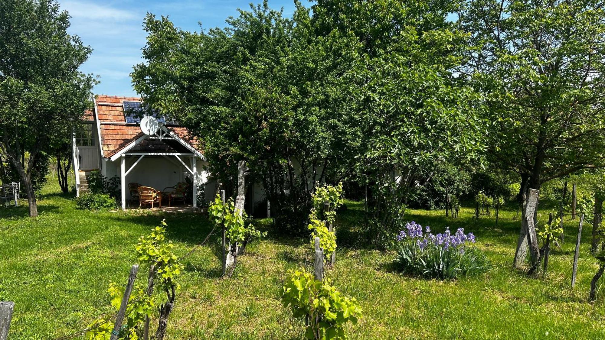 Csobanc Szerelem-Nemzeti Park-Oenallo Haz - Klimatizalt Gyulakeszi Exterior photo